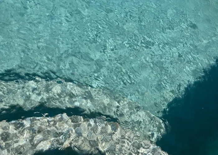 Résidence Casa Favalella Appartement