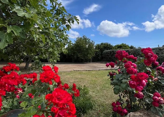 Résidence Casa Favalella Appartement