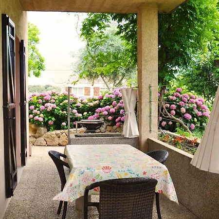 Casa Favalella Daire Porto Pollo