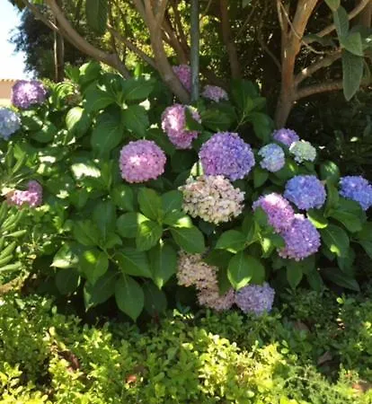 Casa Favalella Διαμέρισμα