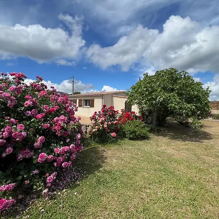 Résidence Casa Favalella Appartamento