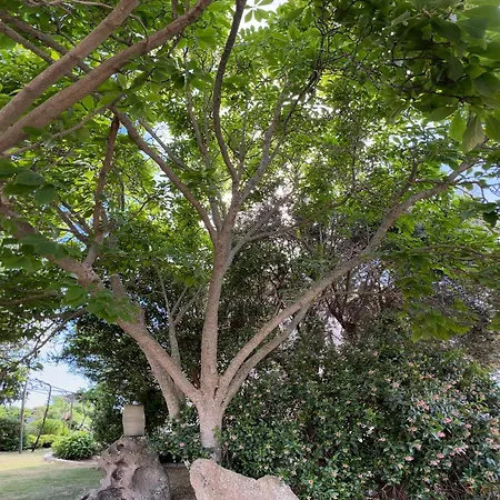 Casa Favalella Διαμέρισμα Porto Pollo